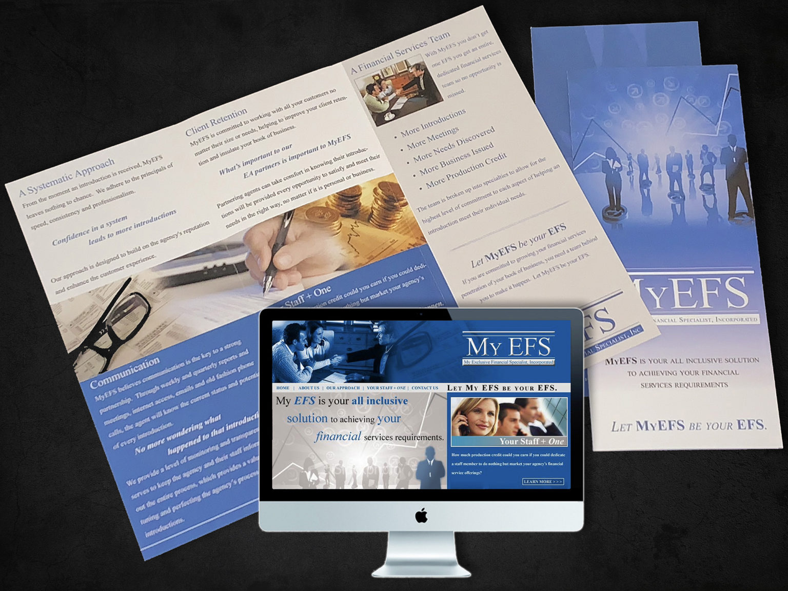 MyEFS Financial Services - Brand Identity, Website & Marketing Brochure • Designed by: Designs In Motion, Inc.